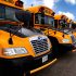 school bus, transportation, vehicle, school, engine, automobile, school bus, school bus, school bus, school bus, school bus